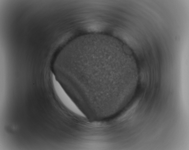 X0000092080637200709262105