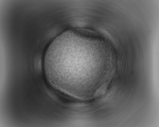 X0000092080638200709262105