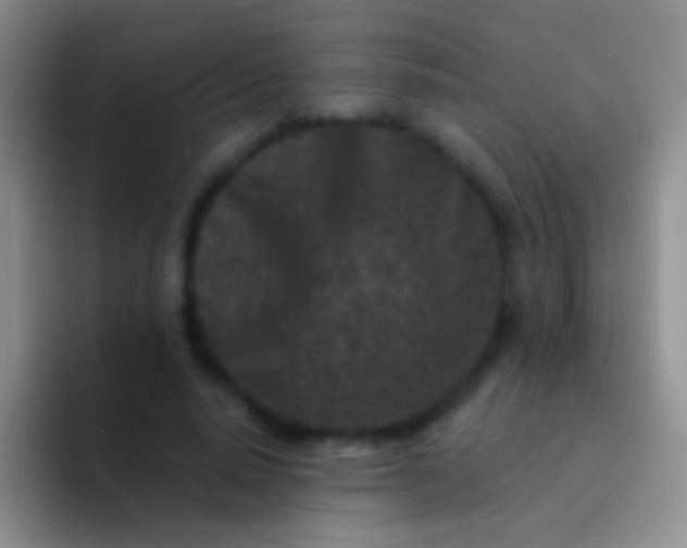 X0000092080640200709262105