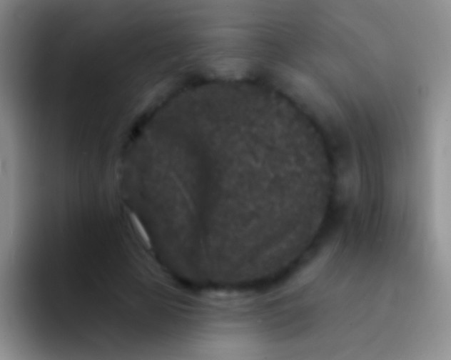 X0000092080641200709262105