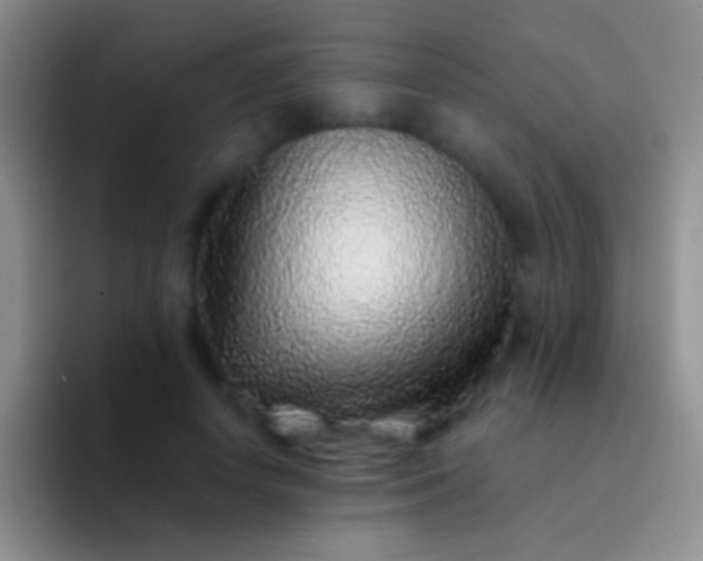 X0000092080642200709262105