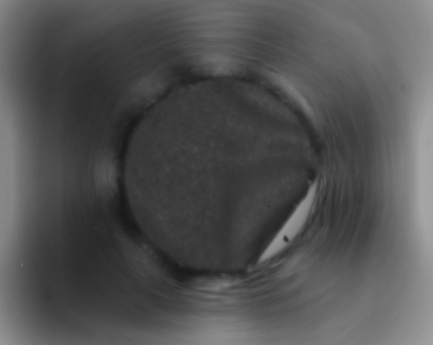 X0000092080643200709262105