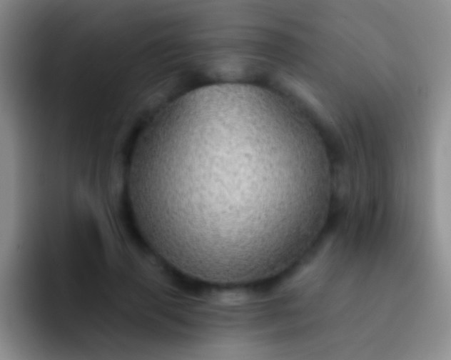 X0000092080645200709262105