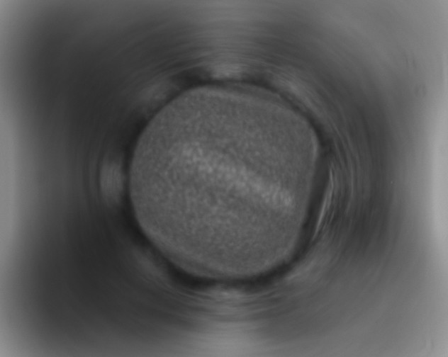 X0000092080648200709262105