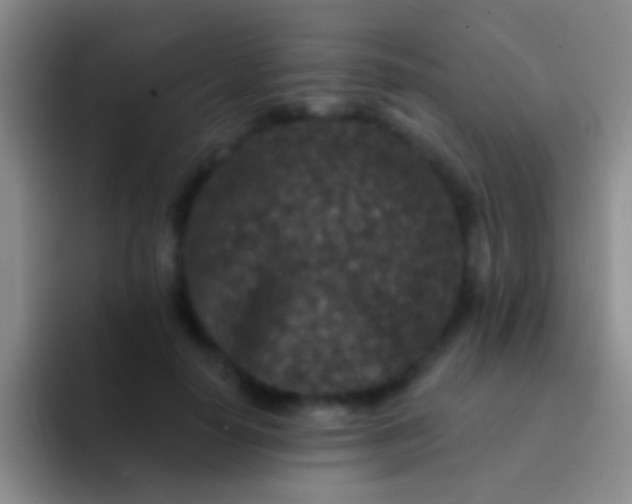 X0000092080650200709262105