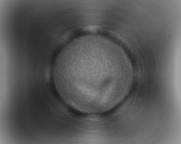 X0000092080656200709262105