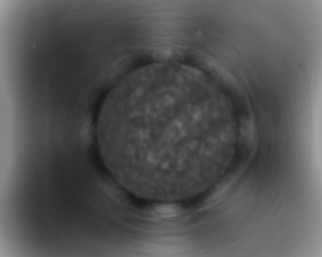 X0000092080659200709262105