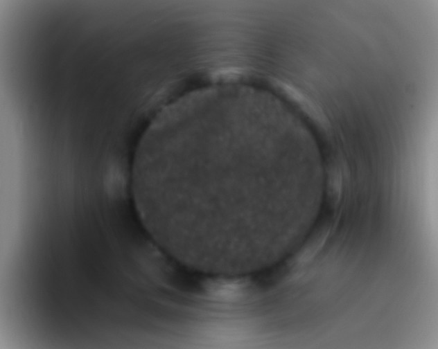 X0000092080661200709262105