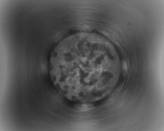 X0000092080663200709262105