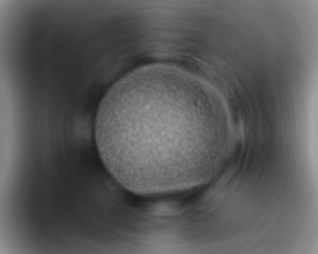 X0000092080664200709262105