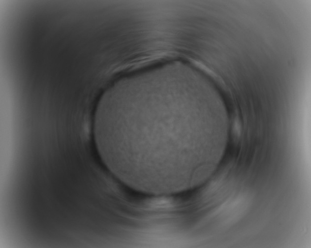 X0000092080668200709262105