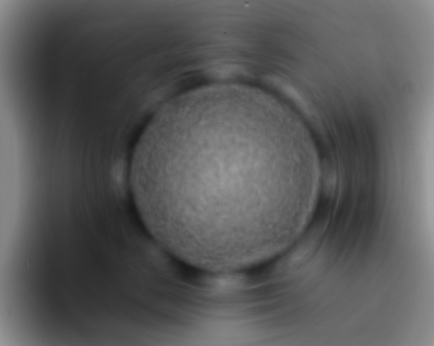 X0000092080670200709262105