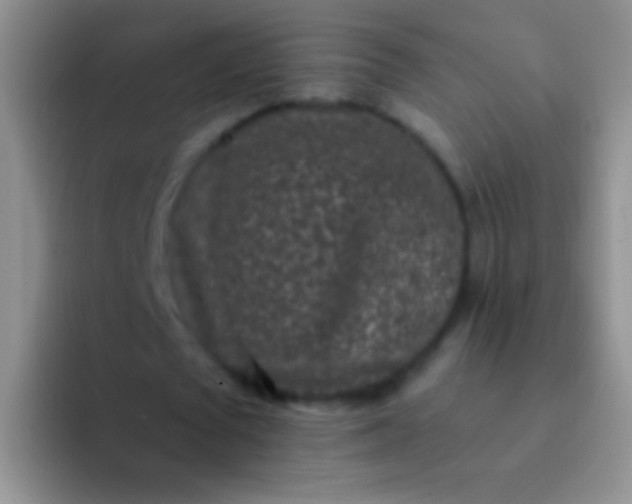 X0000092080673200709262105