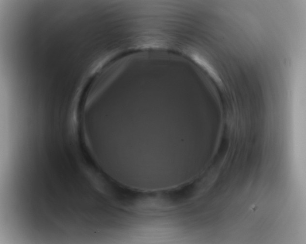 X0000092080674200709262105