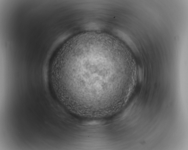 X0000092080675200709262105