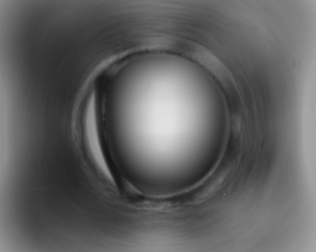 X0000092080676200709262105