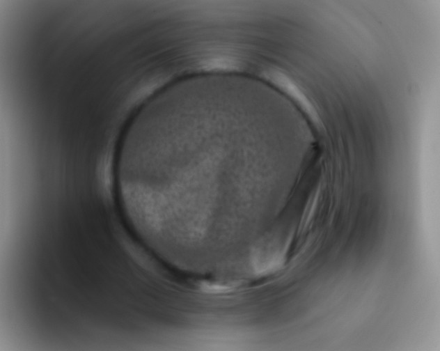 X0000092080677200709262105