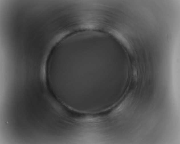 X0000092080678200709262105