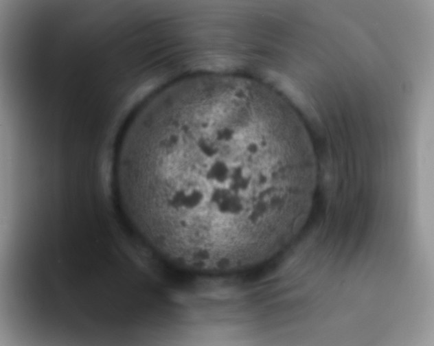 X0000092080679200709262104