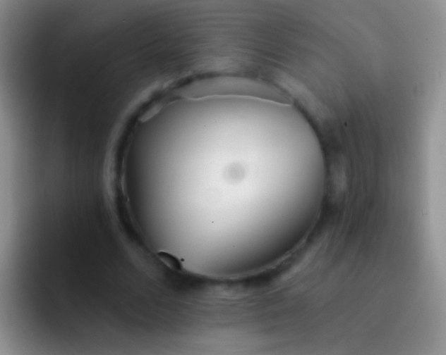 X0000092080680200709262104