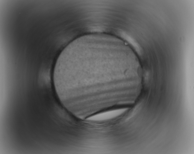 X0000092080681200709262104