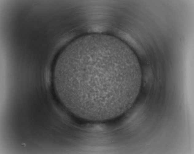 X0000092080683200709262104