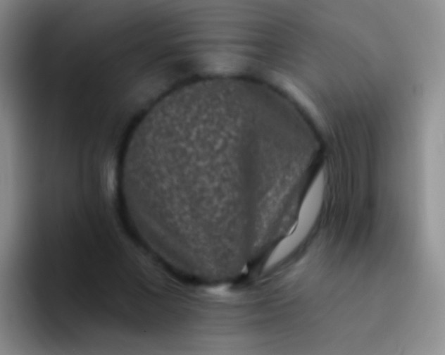 X0000092080685200709262104