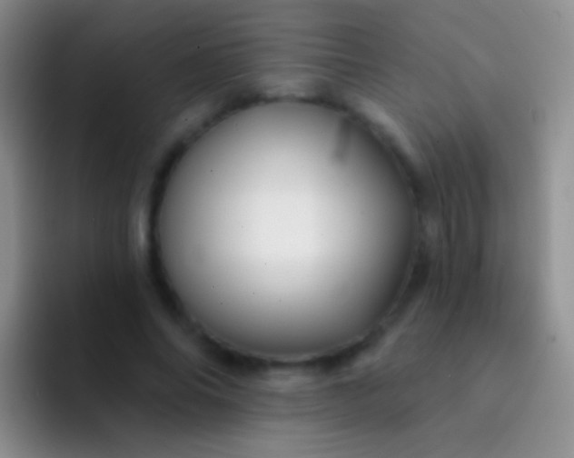 X0000092080686200709262104