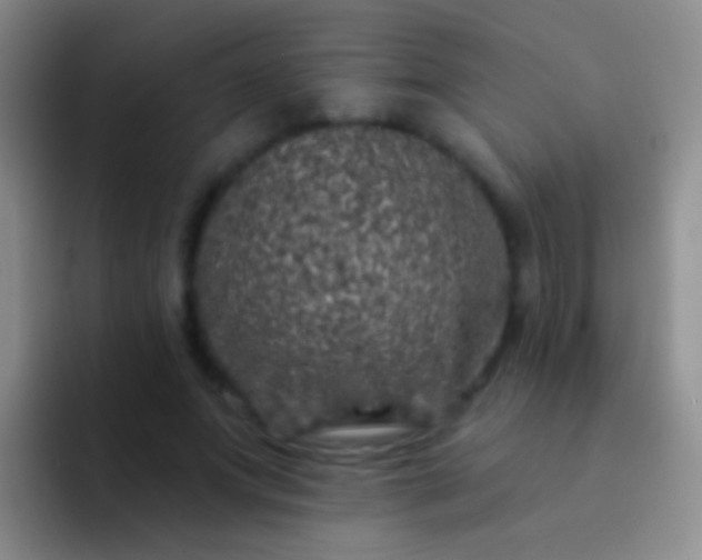 X0000092080687200709262104