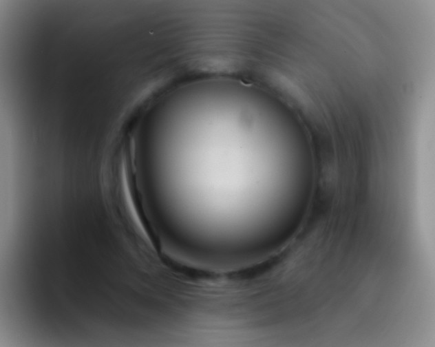 X0000092080688200709262104