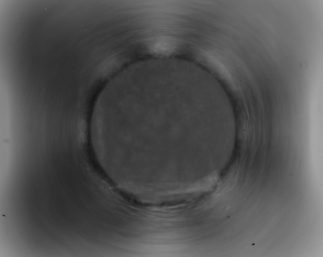 X0000092080689200709262104