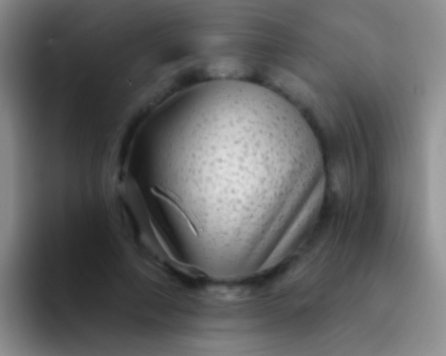 X0000092080690200709262104