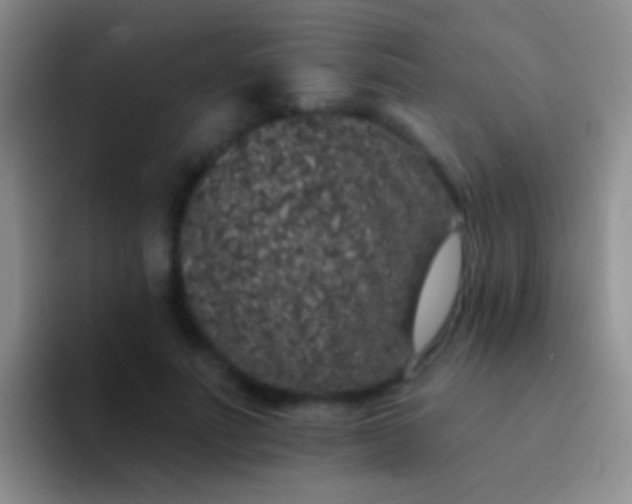 X0000092080691200709262104