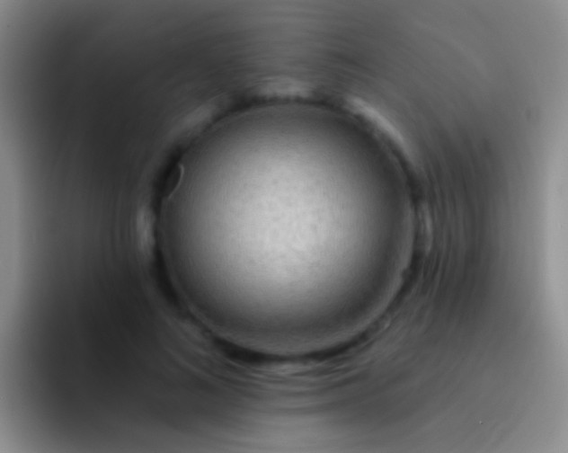 X0000092080692200709262104