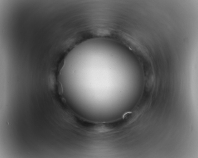 X0000092080704200709262104