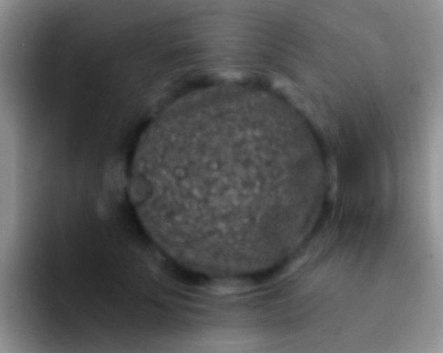 X0000092080707200709262104