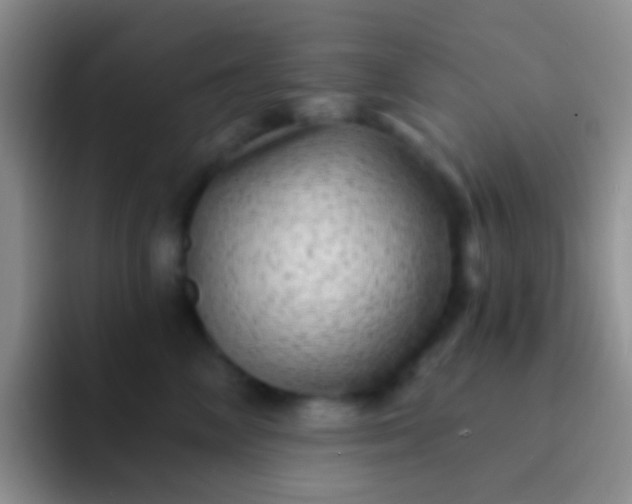 X0000092080714200709262104