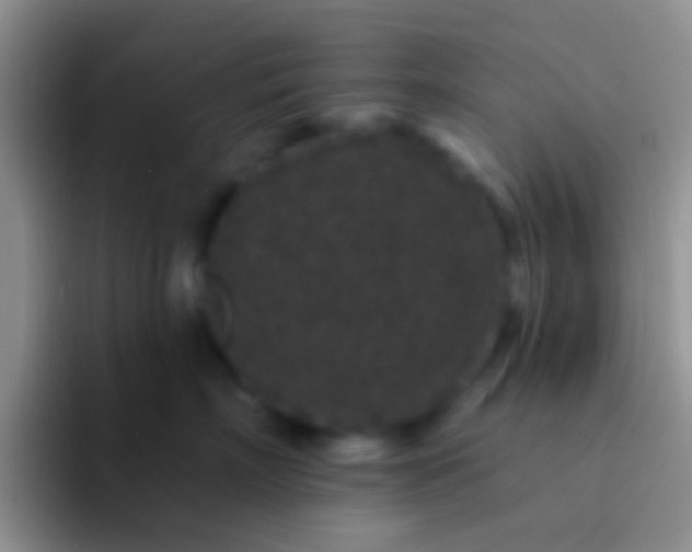 X0000092080718200709262104