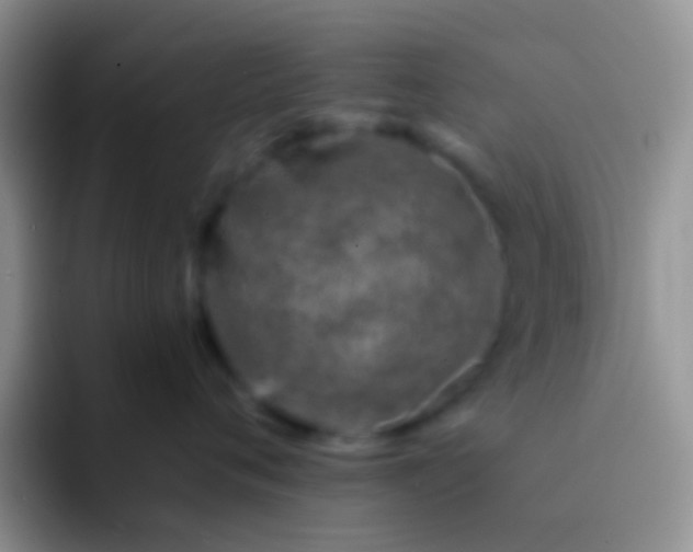 X0000092080720200709262104