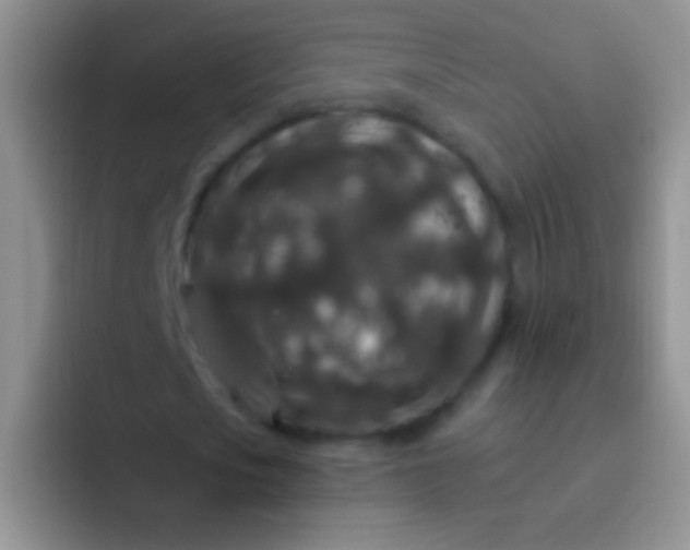 X0000092080721200709262103