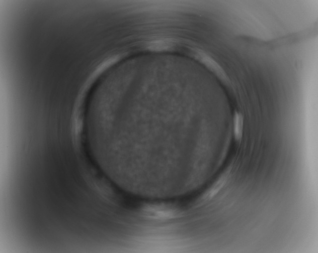 X0000092080723200709262103
