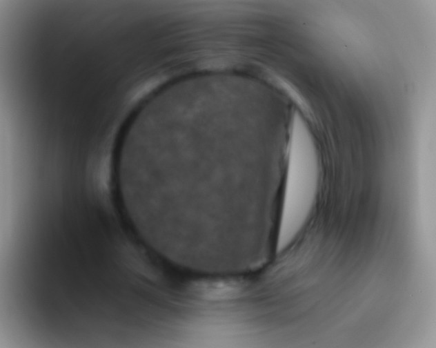 X0000092080724200709262103