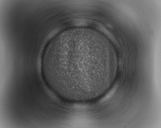 X0000092080725200709262104