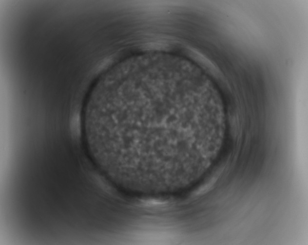 X0000092080729200709262104