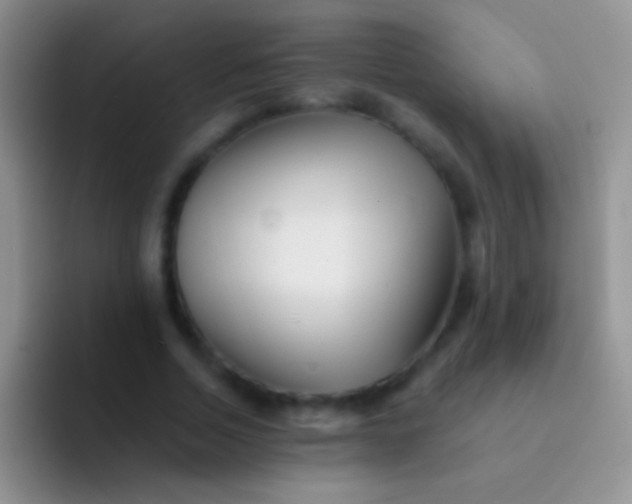 X0000092080730200709262104