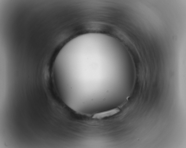 X0000092080731200709262104