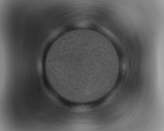 X0000092080734200709262104