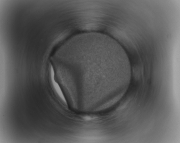 X0000092080735200709262104