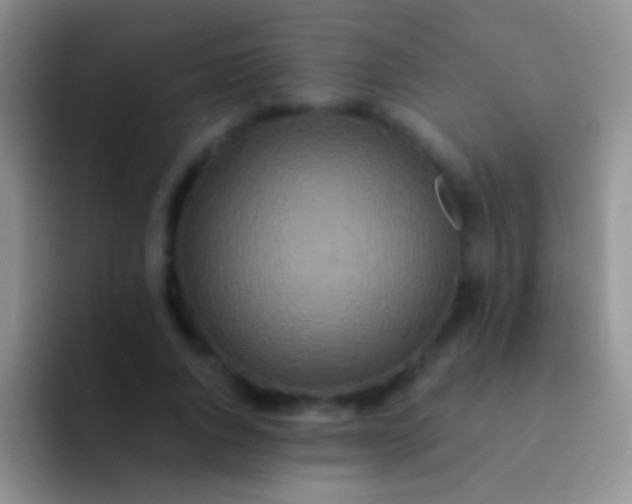 X0000092080736200709262104