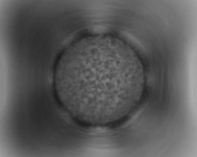 X0000092080737200709262104